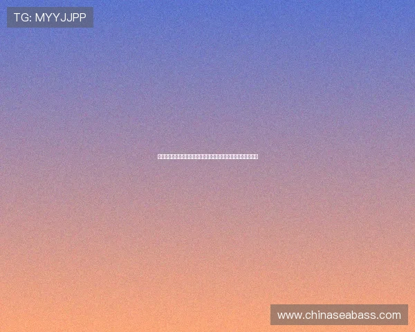 聚焦全球足球赛程解析豪门对决与关键战役时间表看点前瞻全攻略